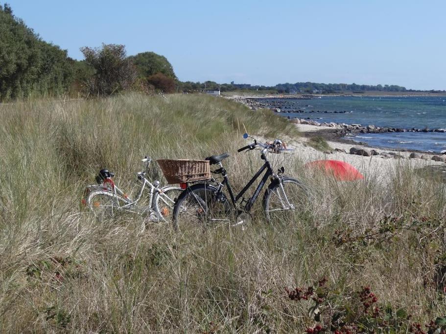 Inselidylle Villa Kunterbunt Fehmarn Dış mekan fotoğraf